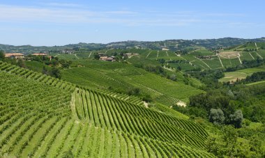langhe (İtalya yaz peyzaj)