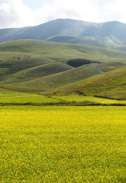 钢琴的格兰德 di Castelluccio (意大利) — 图库照片