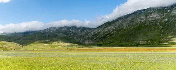 피아노 그란데 디 Castelluccio (이탈리아) — 스톡 사진