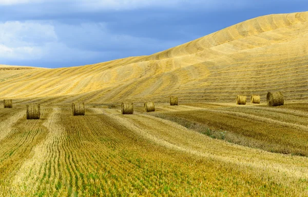 Creta Senesi (Toscana, Itália) ) — Fotografia de Stock