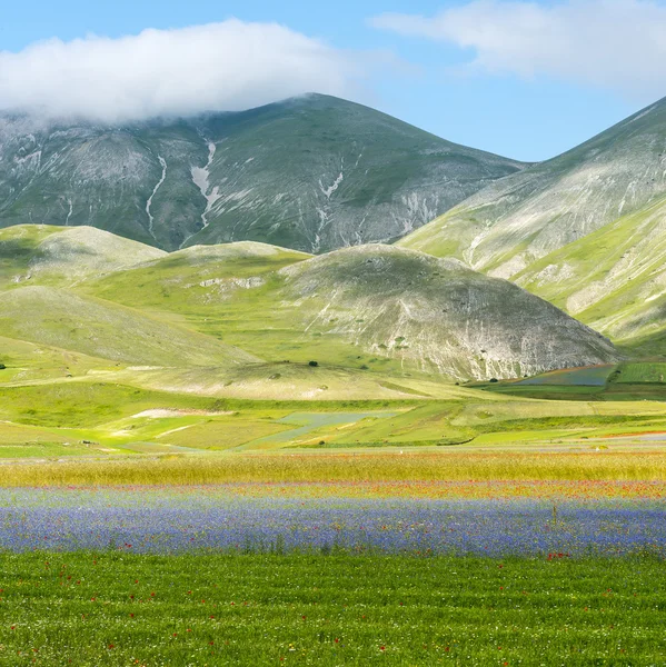 钢琴的格兰德 di Castelluccio (意大利) — 图库照片