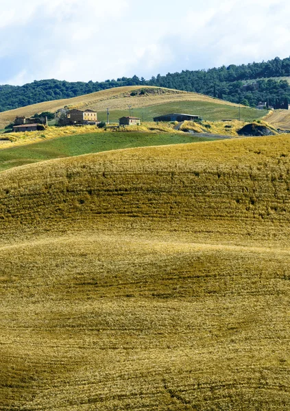 Crete Senesi (Tuscany, Italy) — Stock Photo, Image