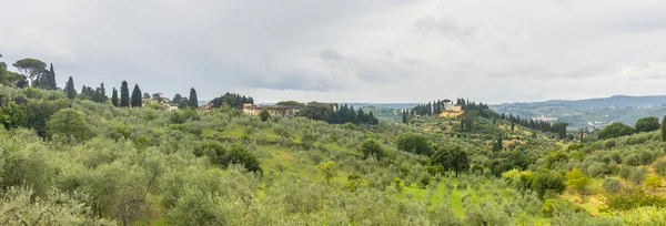 Landscape in Chianti (Florence, Tuscany, Italy) — Stock Photo, Image