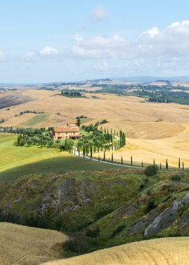 Girit senesi (Toskana, İtalya)