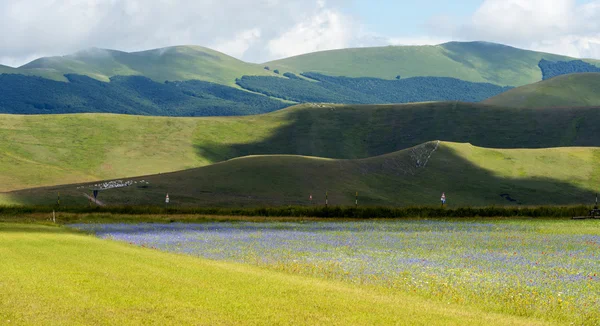 Piano Grande di Castelluccio (Italy) — Stock Photo, Image