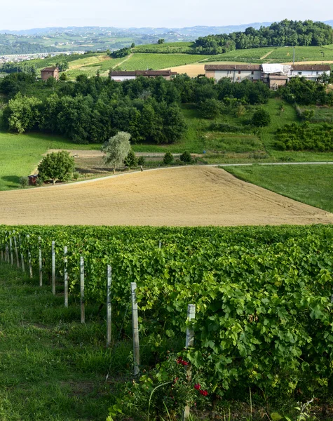 Zomer landschap in monferrato (Italië) — Stockfoto