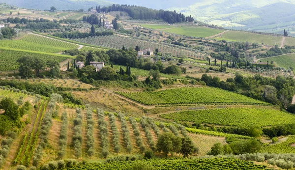 Chianti, Toskánsko — Stock fotografie