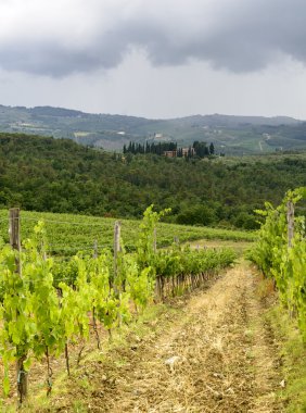 Chianti, Toskana