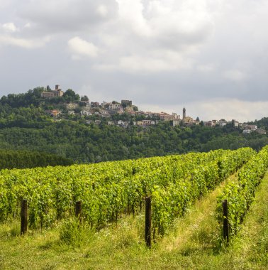 Yaz manzara monferrato (İtalya içinde)