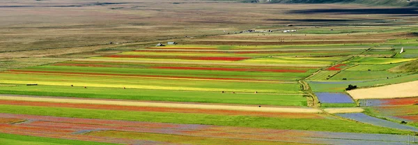 Piano Grande di Castelluccio (Italie) ) — Photo