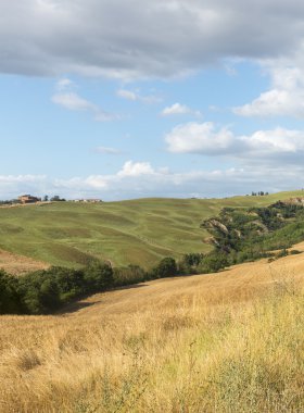 Girit senesi (Toskana, İtalya)