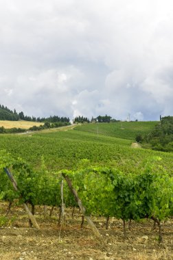 Chianti, Toskana