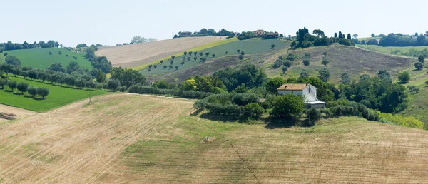 Summer landscape in Marches (Italy) — Stock Photo, Image