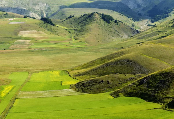 Piano Grande di Castelluccio (Италия) ) — стоковое фото