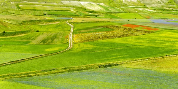 Piano Grande di Castelluccio (Italië) — Stockfoto