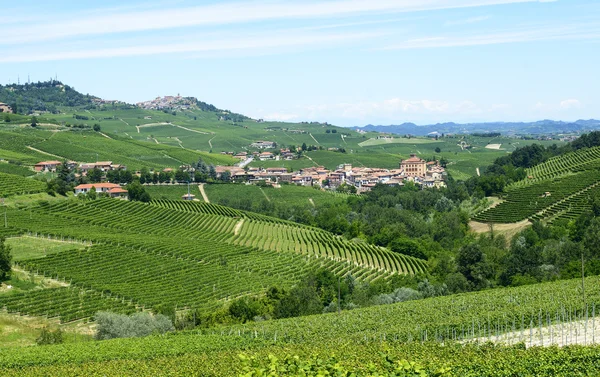 Paisagem de verão em Langhe (Itália ) — Fotografia de Stock