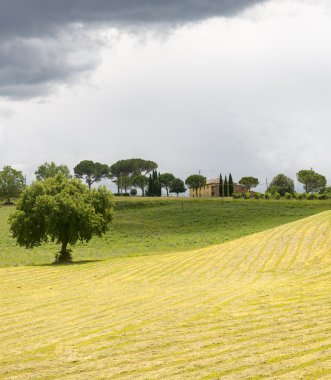 Montalcino (Toskana, İtalya)
