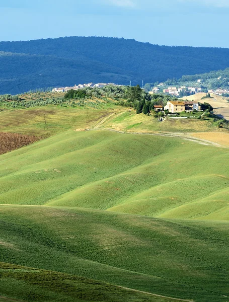 Crete Senesi (Tuscany, Italy) — Stock Photo, Image