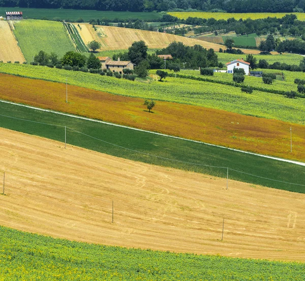 Krajobraz lato w Marche (Włochy) — Zdjęcie stockowe