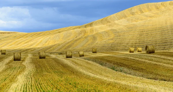 Creta Senesi (Toscana, Itália) ) — Fotografia de Stock