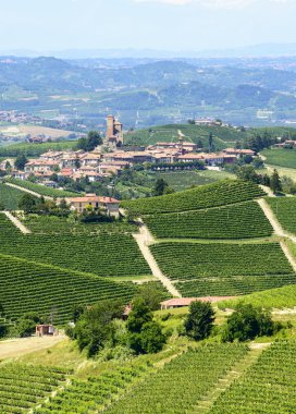 langhe (İtalya yaz peyzaj)