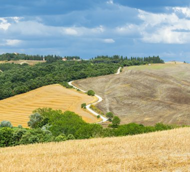 Girit senesi (Toskana, İtalya)