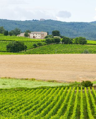 Montalcino (Toskana, İtalya)