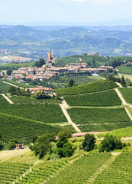 Nyári táj a Langhe régió (Olaszország) — Stock Fotó