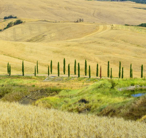 Crete Senesi (Toscana, Italia) ) — Foto de Stock