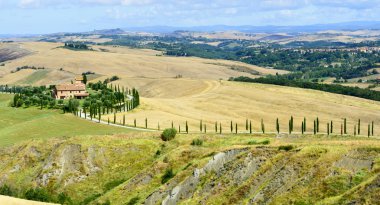 Girit senesi (Toskana, İtalya)