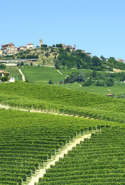 Paisaje de verano en Langhe (Italia) ) —  Fotos de Stock