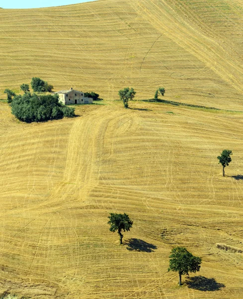 Летний пейзаж в Марше (Италия) ) — стоковое фото