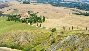 Girit senesi (Toskana, İtalya)