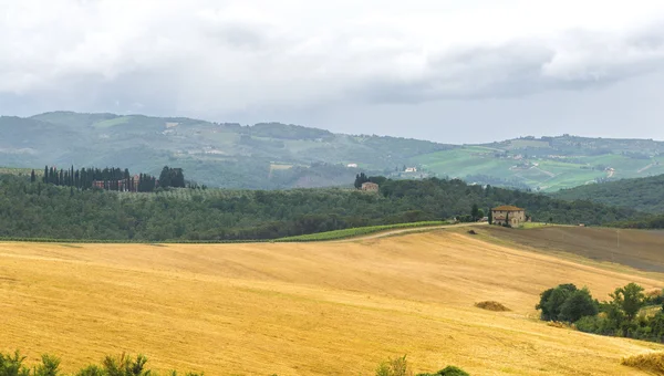 Chianti, Τοσκάνη — Φωτογραφία Αρχείου