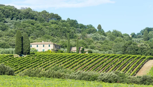 Montalcino (Toskana, İtalya) — Stok fotoğraf