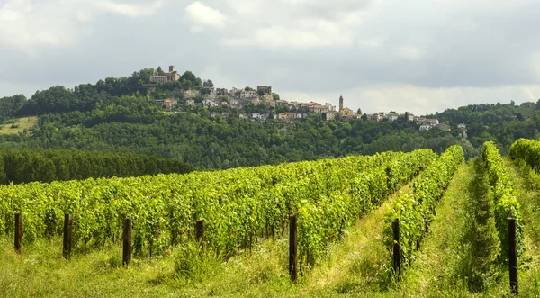 Krajobraz lato w monferrato (Włochy) — Zdjęcie stockowe