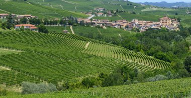 langhe (İtalya yaz peyzaj)