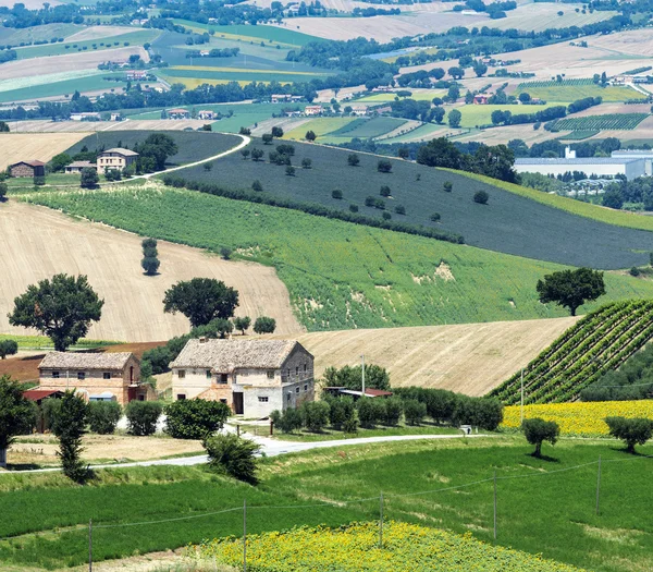 Paesaggio estivo nelle Marche ) — Foto Stock