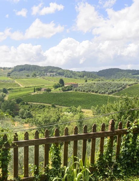 Chianti, Τοσκάνη — Φωτογραφία Αρχείου