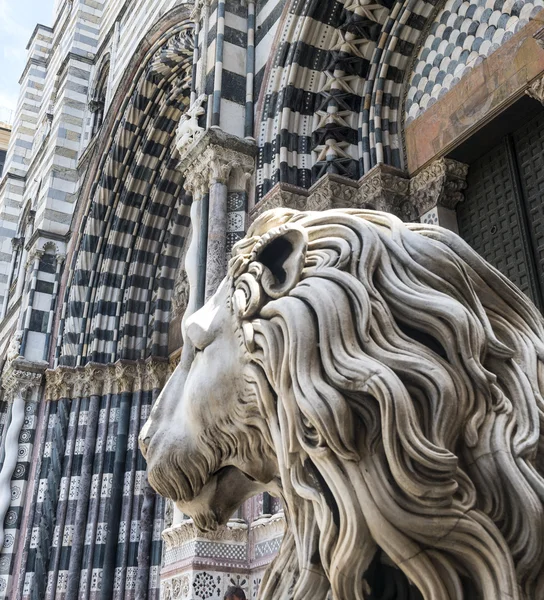 Gênes (Italie), cathédrale — Photo