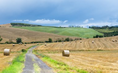 Montalcino (Toskana, İtalya)