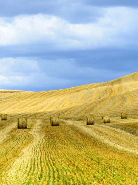 Crete senesi (Toskánsko, Itálie) — Stock fotografie