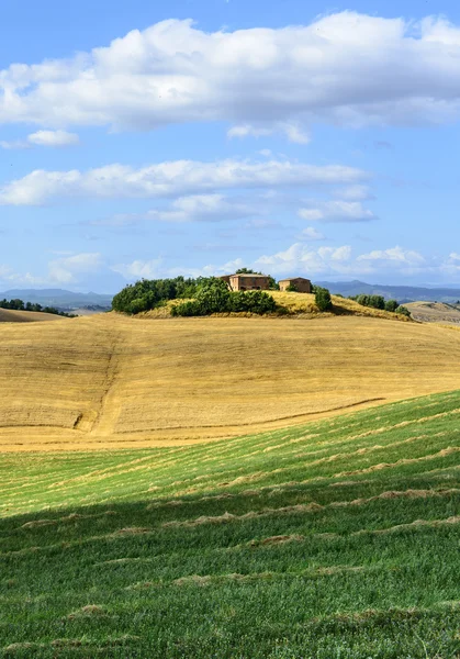 Крит senesi (Тоскана, Італія) — стокове фото