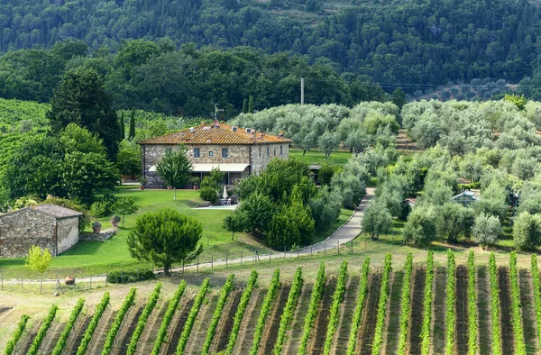 Chianti, Τοσκάνη — Φωτογραφία Αρχείου