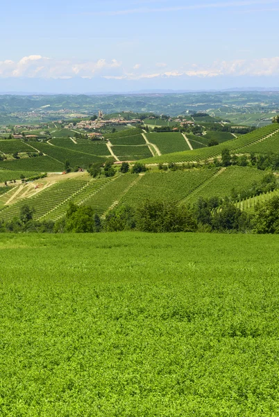 Zomer landschap in langhe (Italië) — Stockfoto