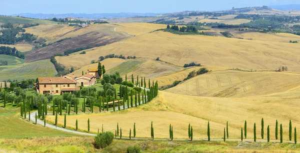 Κρήτη senesi (Τοσκάνη, Ιταλία) — Φωτογραφία Αρχείου