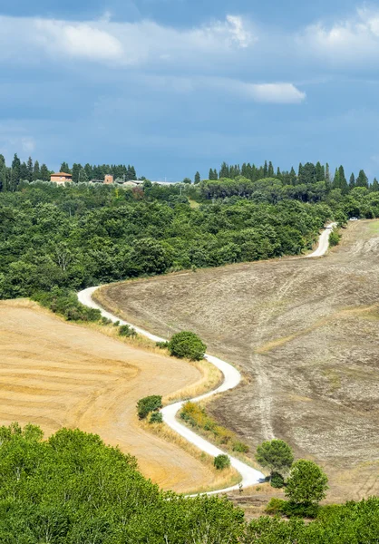 Girit senesi (Toskana, İtalya) — Stok fotoğraf