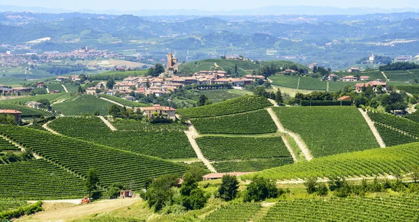 Sommar landskap i langhe (Italien) — Stockfoto