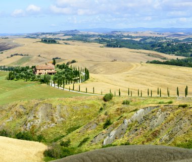 Girit senesi (Toskana, İtalya)