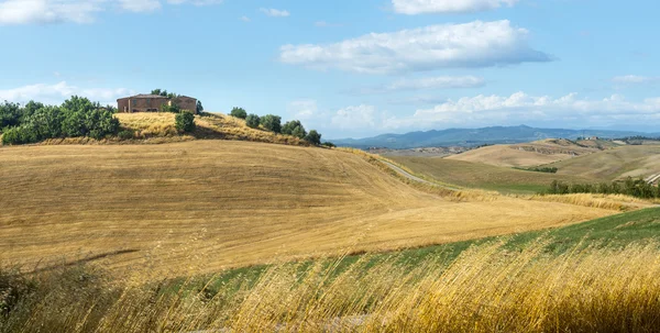 Girit senesi (Toskana, İtalya) — Stok fotoğraf